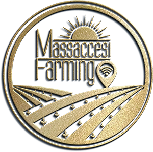 massaccesi farming