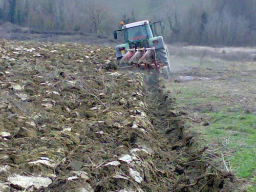 FLOTTA Lavori-agricoli29022008664-1-768x576