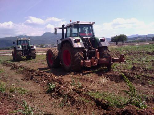 FLOTTA Lavori-agricoliIMAG0173-2-768x576