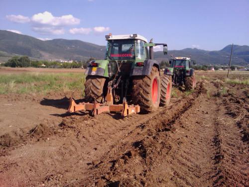 FLOTTA Lavori-agricoliIMAG0174-2-768x576