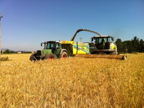 FLOTTA Lavori-agricoliIMG 1062-2-768x574