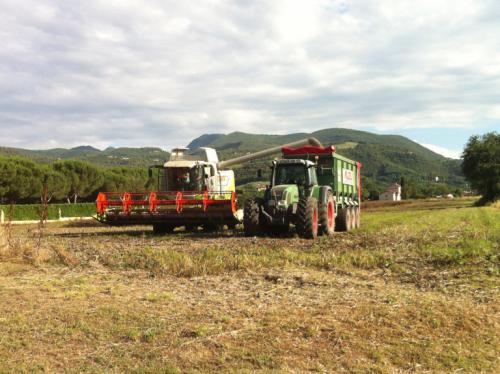 FLOTTA Lavori-agricoliIMG 1528-1-768x574